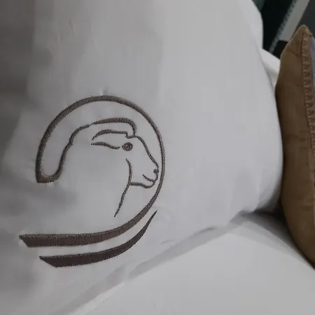 Le Clos De L Agneau Saint-Amand-sur-Fion