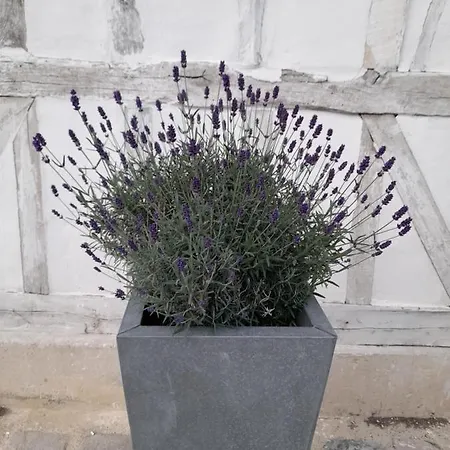 Le Clos De L Agneau Nocleg ze śniadaniem 3*