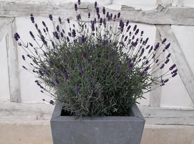 Le Clos De L Agneau Bed & Breakfast 3*